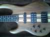 Carvin USA 2.jpg
